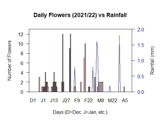 Flowers vs Rainfall